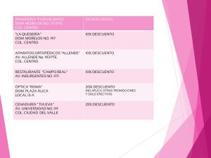 Diapositiva3